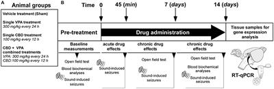 Behavioral and Molecular Effects Induced by Cannabidiol and Valproate Administration in the GASH/Sal Model of Acute Audiogenic Seizures